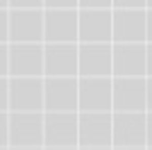 Meet your Posher, Bella